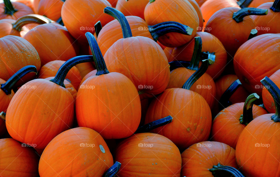 Pumpkins