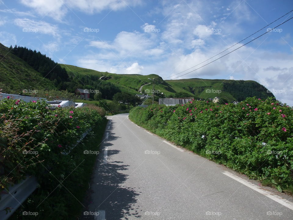 Summer vacation in Norway Runde island.