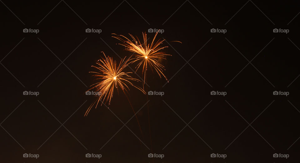 Low angle view of firework display at night