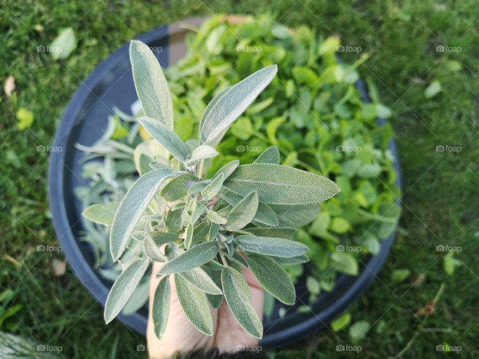 Nature gives us a lot.  If we make one good gesture, nature gives us back a hundredfold.