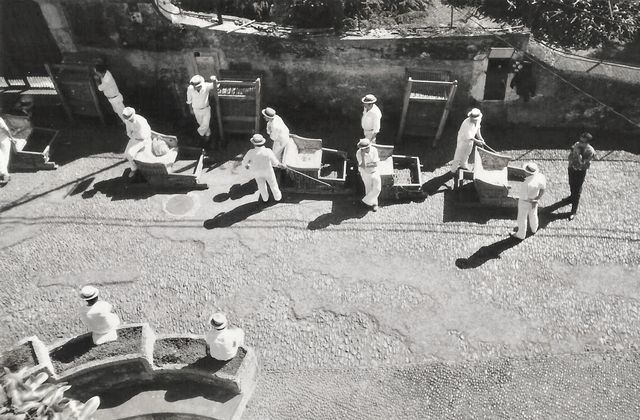 Madeira slides 