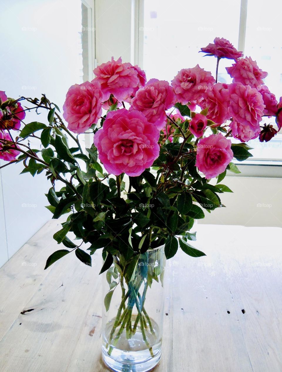 A vase of beautiful, showy pink peonies. Dazzling and beautiful to look at. Pink peonies symbolize romantic love, friendship and happiness. 