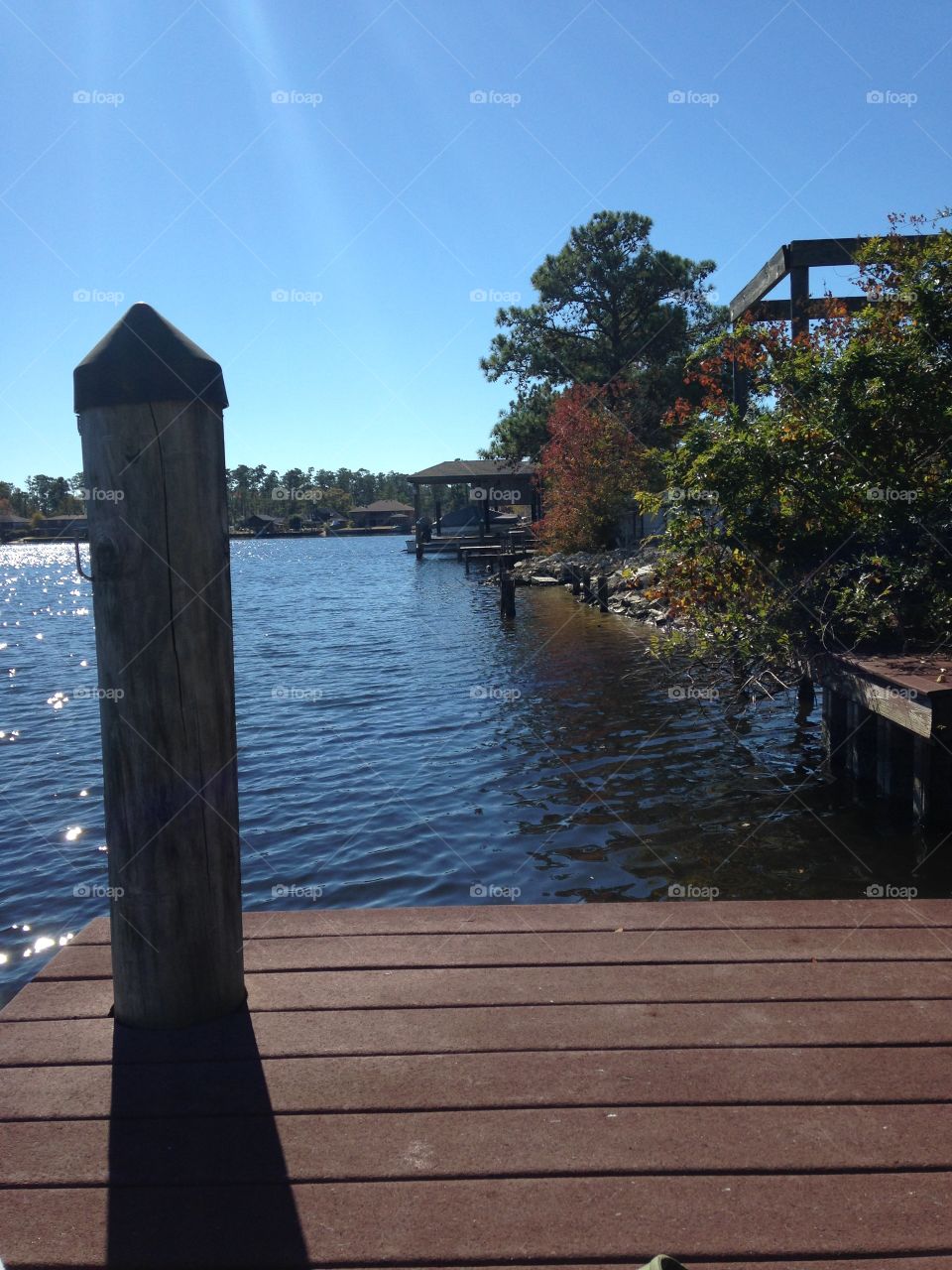 Louisiana Pond