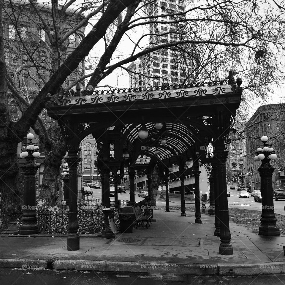 Pioneer Square Pergola with the historic Smith Tower in the background built in the early 1900’s