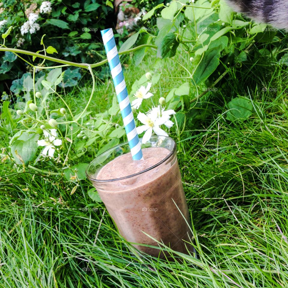 raw chocolate smoothie