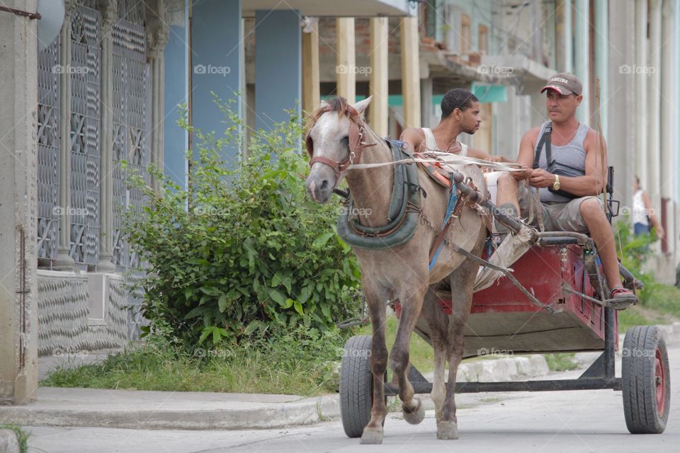 Transport In Cuba.Horse Cart