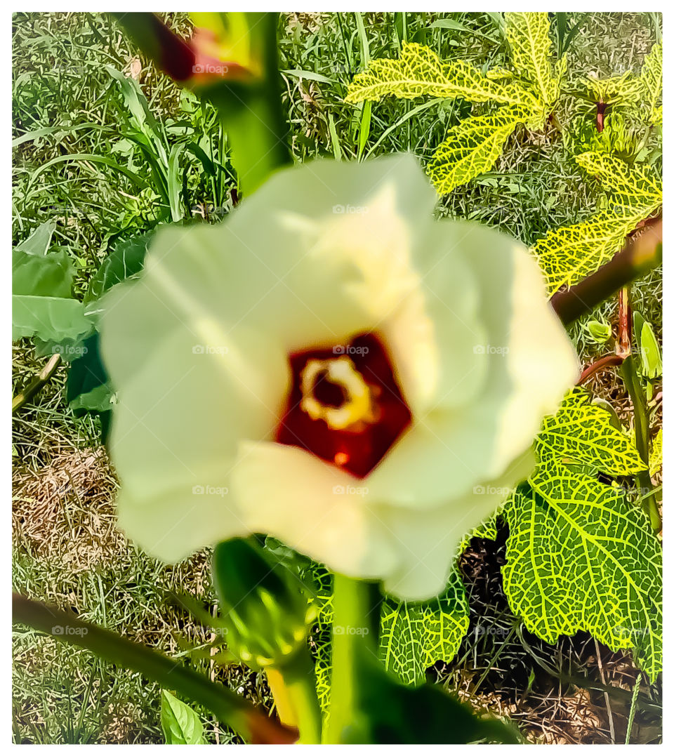 Indian Left finger nice looking image it's so beautiful