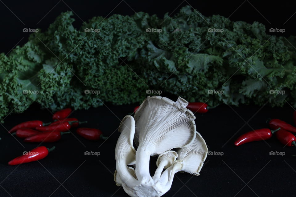 Close-up of Backside of Large White Mushroom with Red Peppers and Green Leafy Lettuces