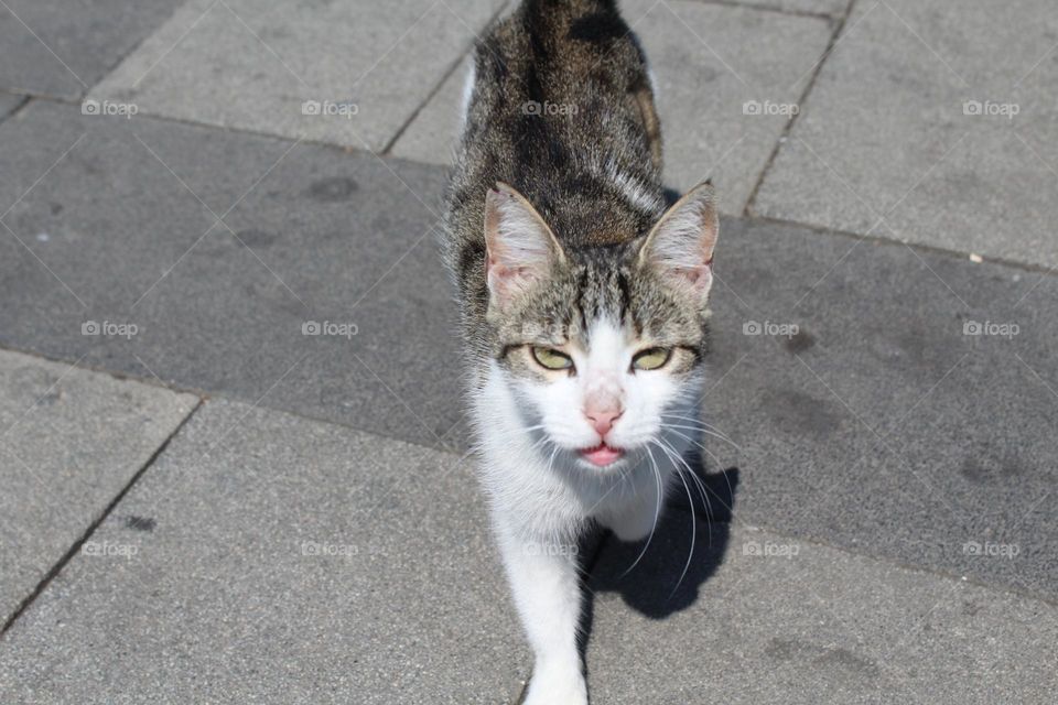 Meet with Mr serious