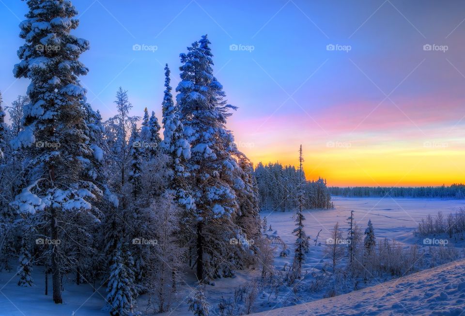sunset_winter_forest_landscape_snow
