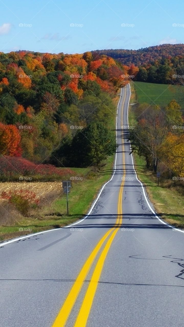 Straight road with autumn trees