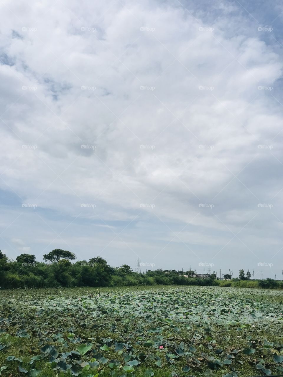 Environment_winter_sky_relaxation😊