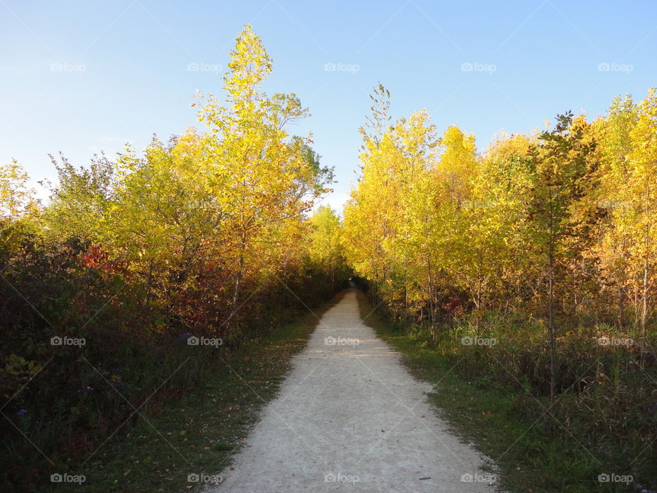 fall in wisconsin