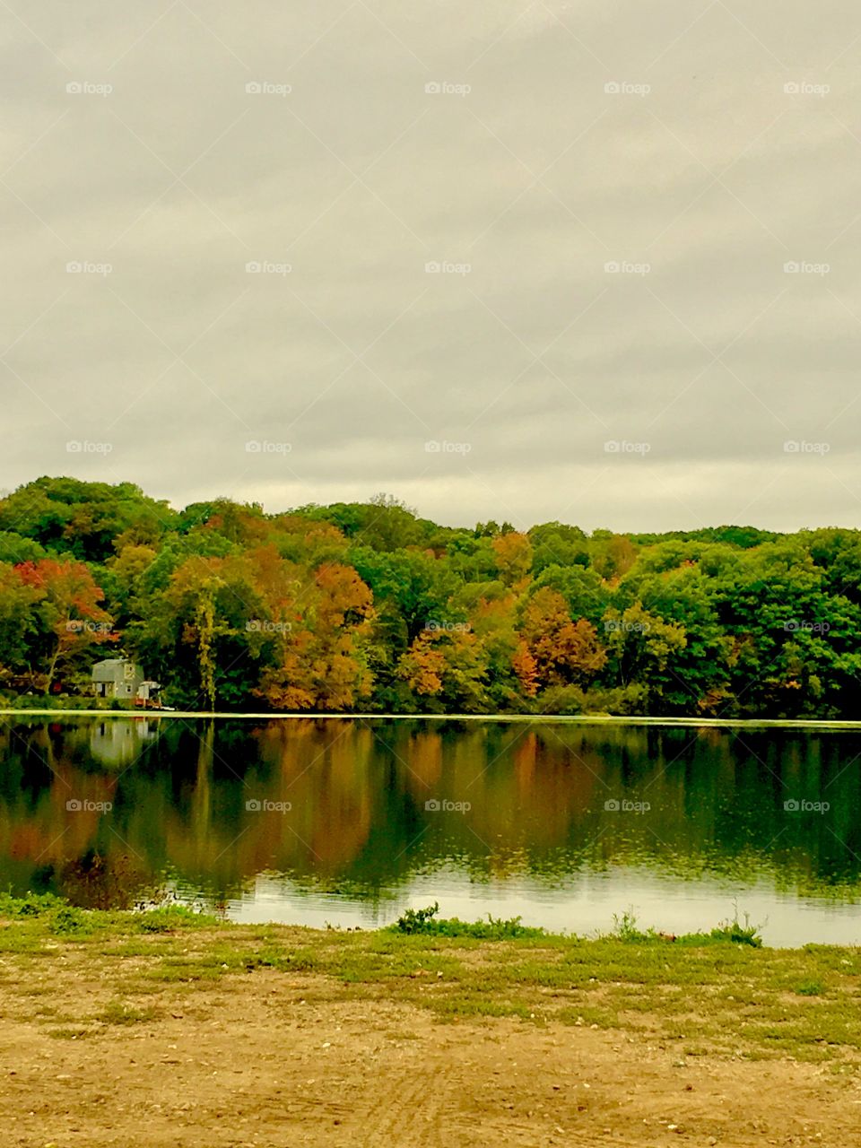 Fall Foliage Reflection 