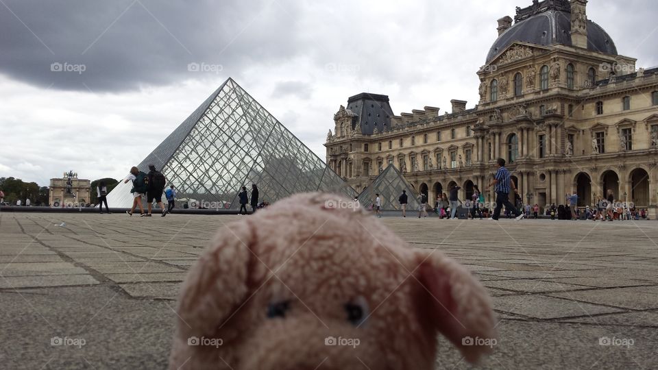 pig in Paris. pig in europe