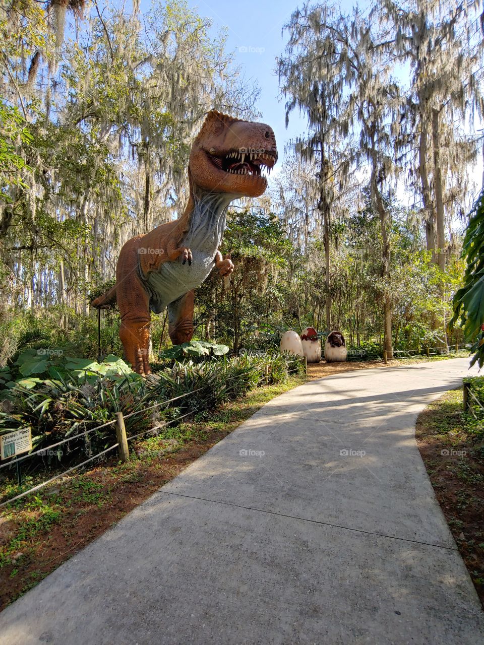 giant t-rex. okay.  dinosaur world was a blast. the whole family loved it. im really thinking of framing this and adding it to my sons room.