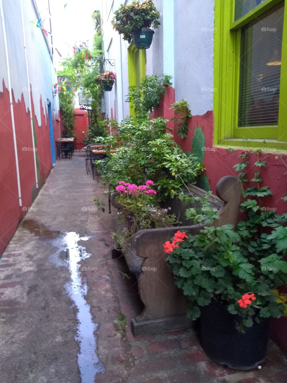 floral bench mini garden in alley