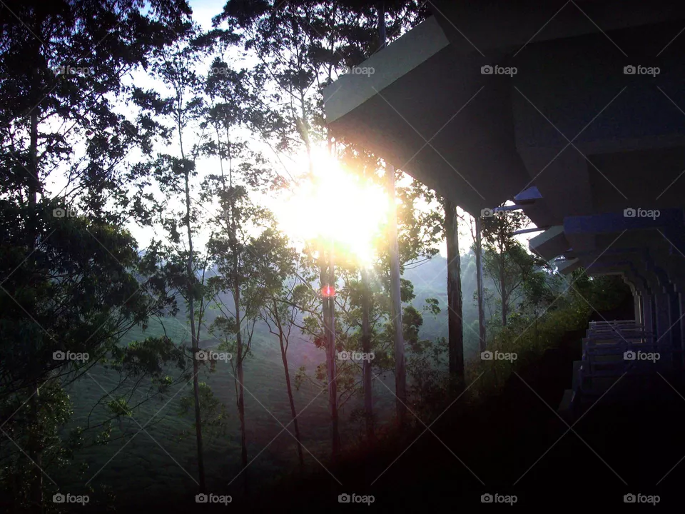 morning23