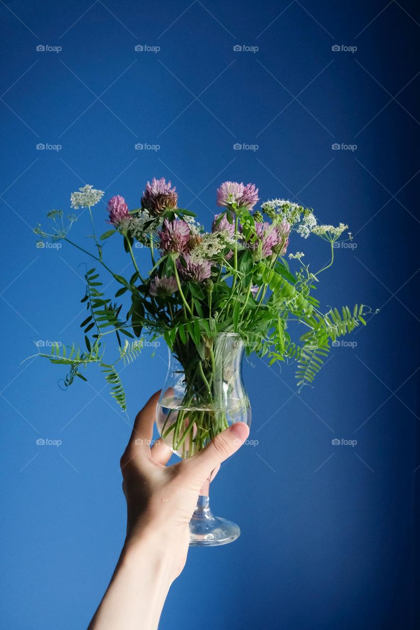 A hand holds a glass with a summer bouquet of wild flowers from clover and mouse peas on blue background