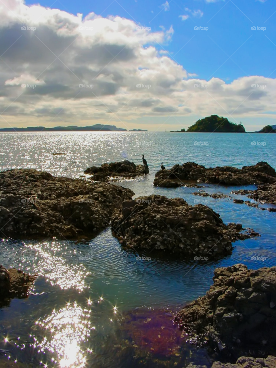 new zealand beach ocean sky by wme