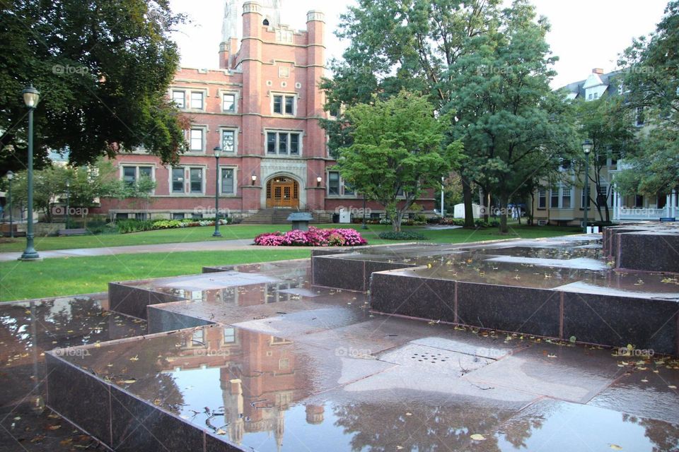 Reflection of building 