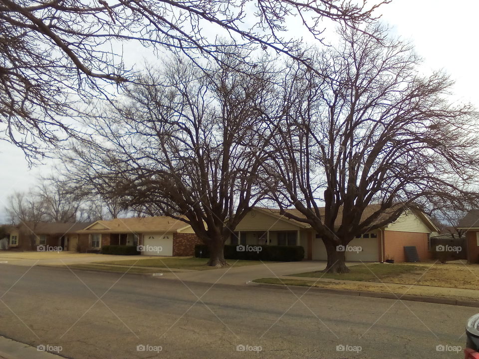 🌹Two Real...; Two, Be True!🌹