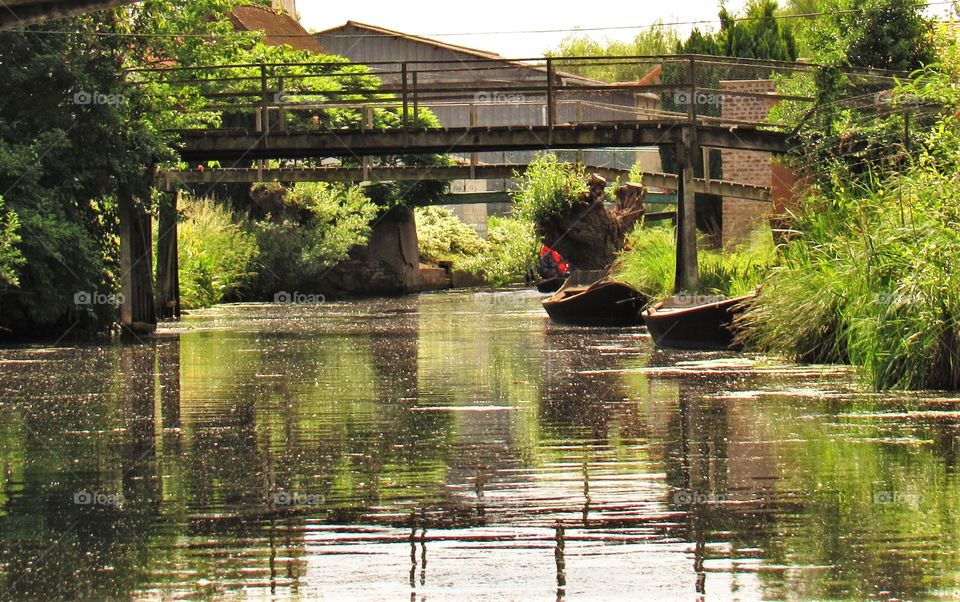 Marais de Saint Omer