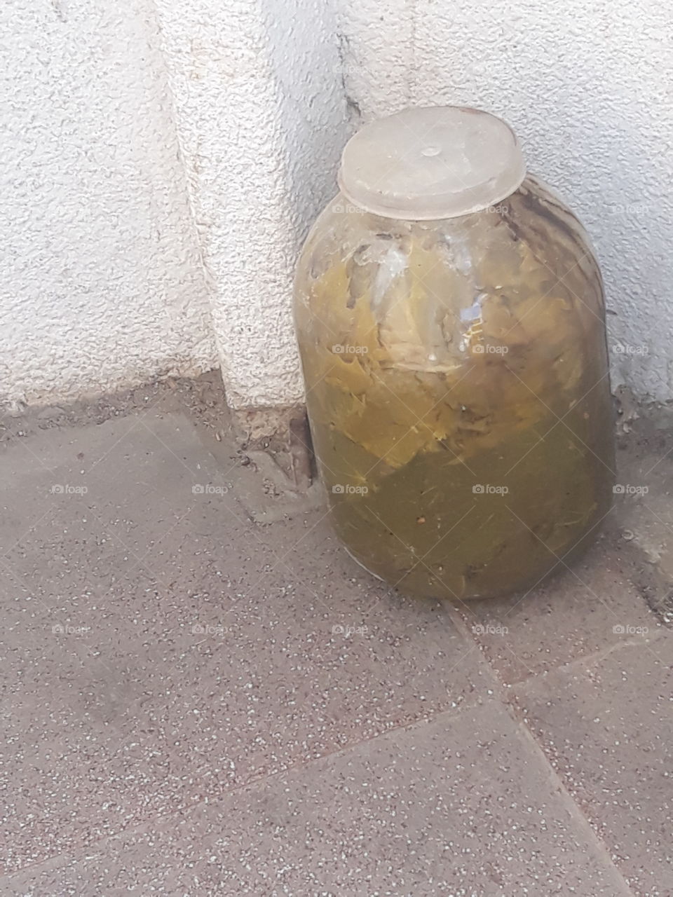 with vine leaves for cabbage