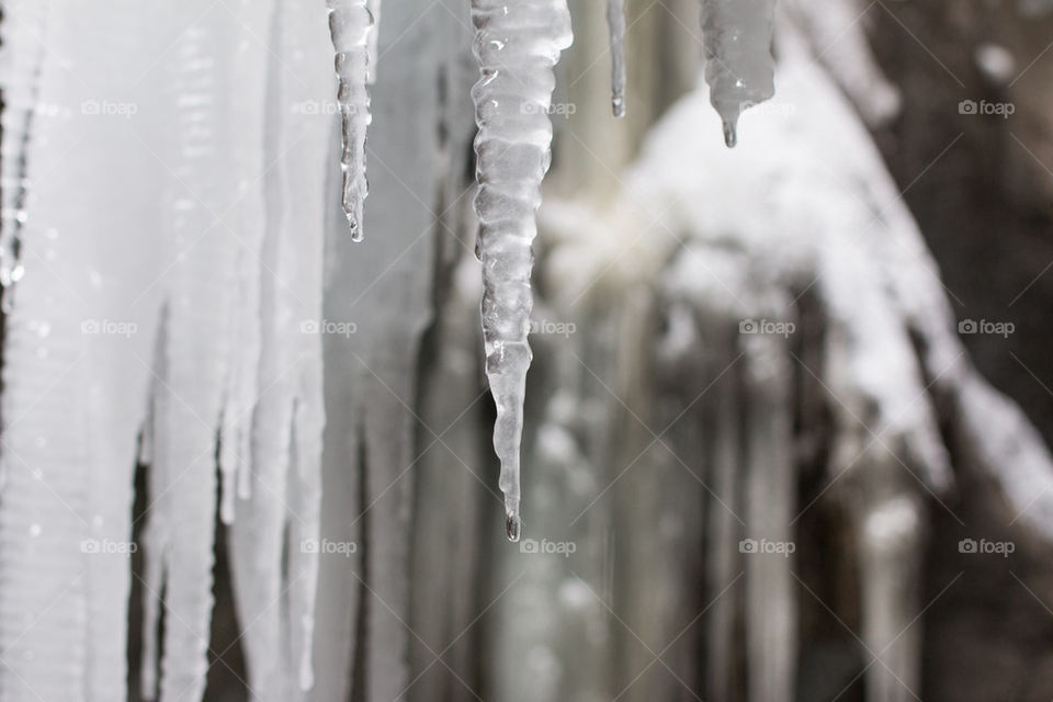 Icicles melting 