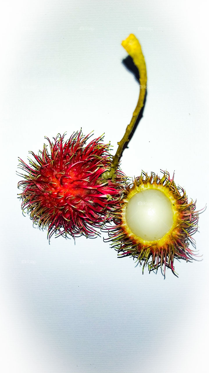 rambutan fruit