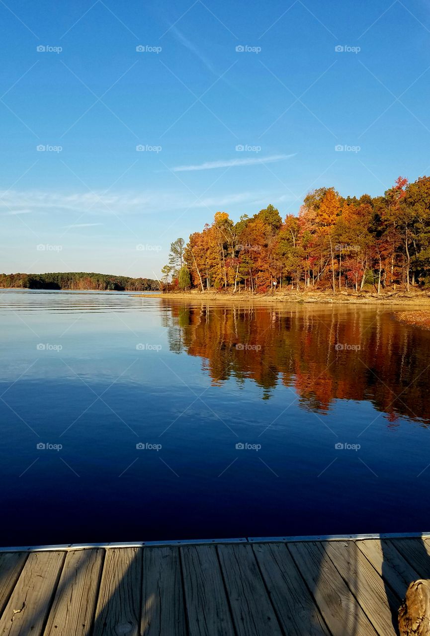 view from the dock