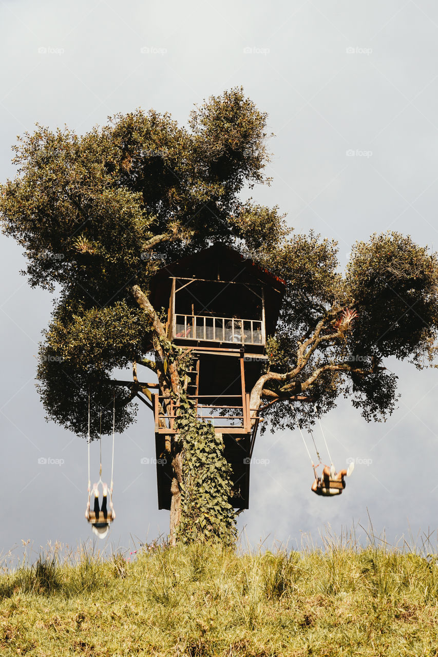 Tree house with swings