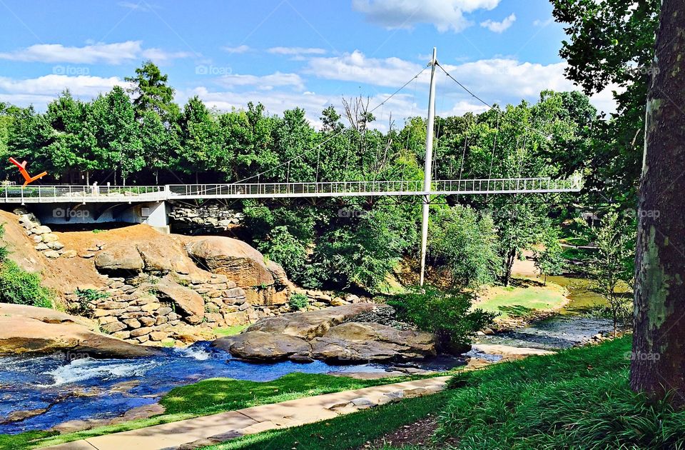 Reedy River Park Bridge 