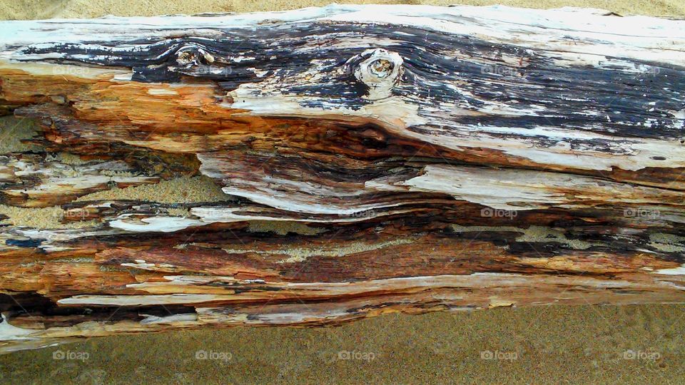 Driftwood