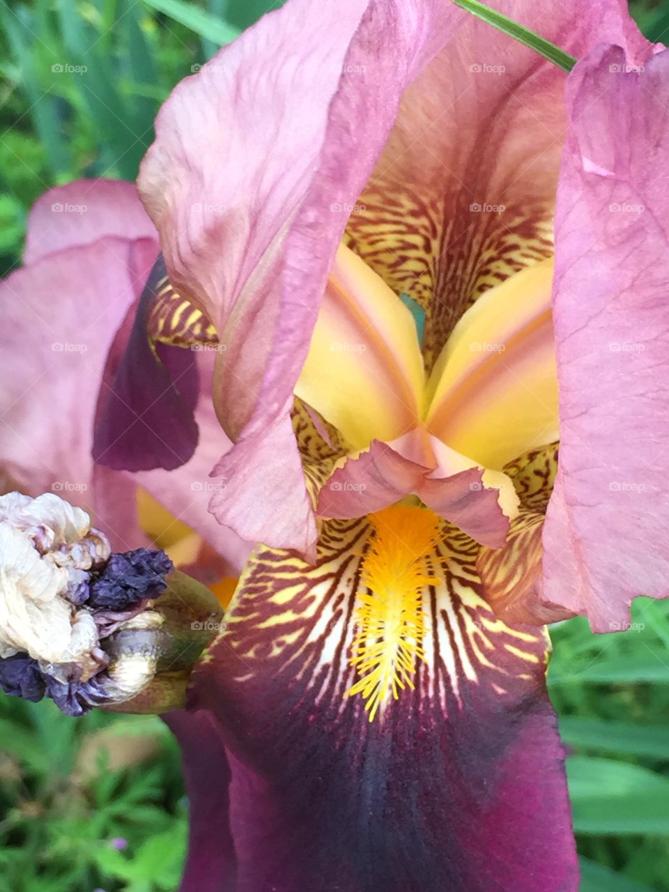 Darryl Wilson. Plants in flower bed