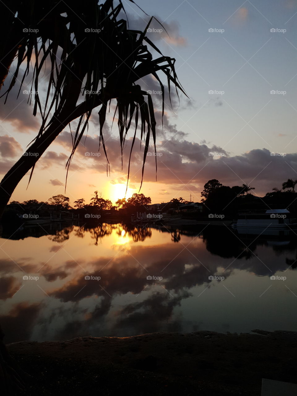 Dawn on the river