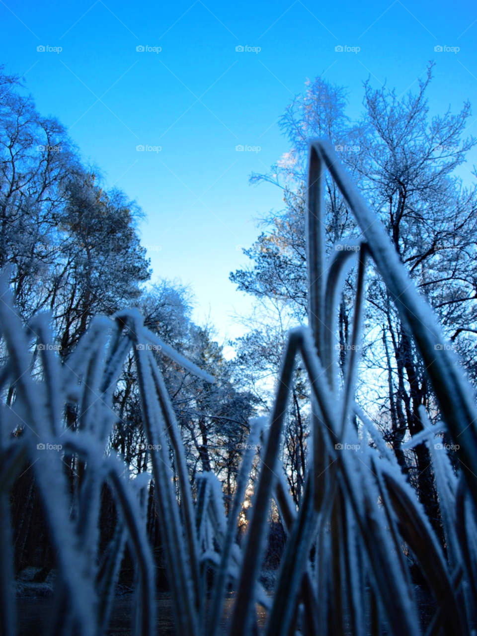 winter sky nature blue by hslysne