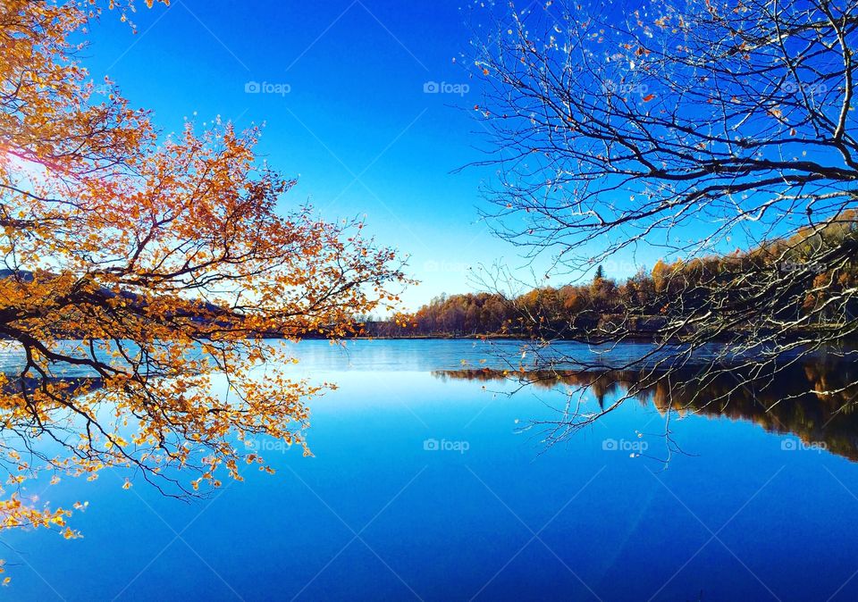 Blue sky reflected in lake