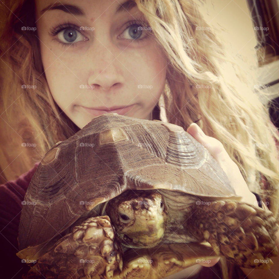 tortoise and me