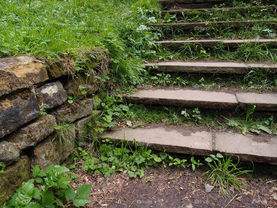 Old steps being overgrown ascend a brick wall to a higher level in the landscaping. 