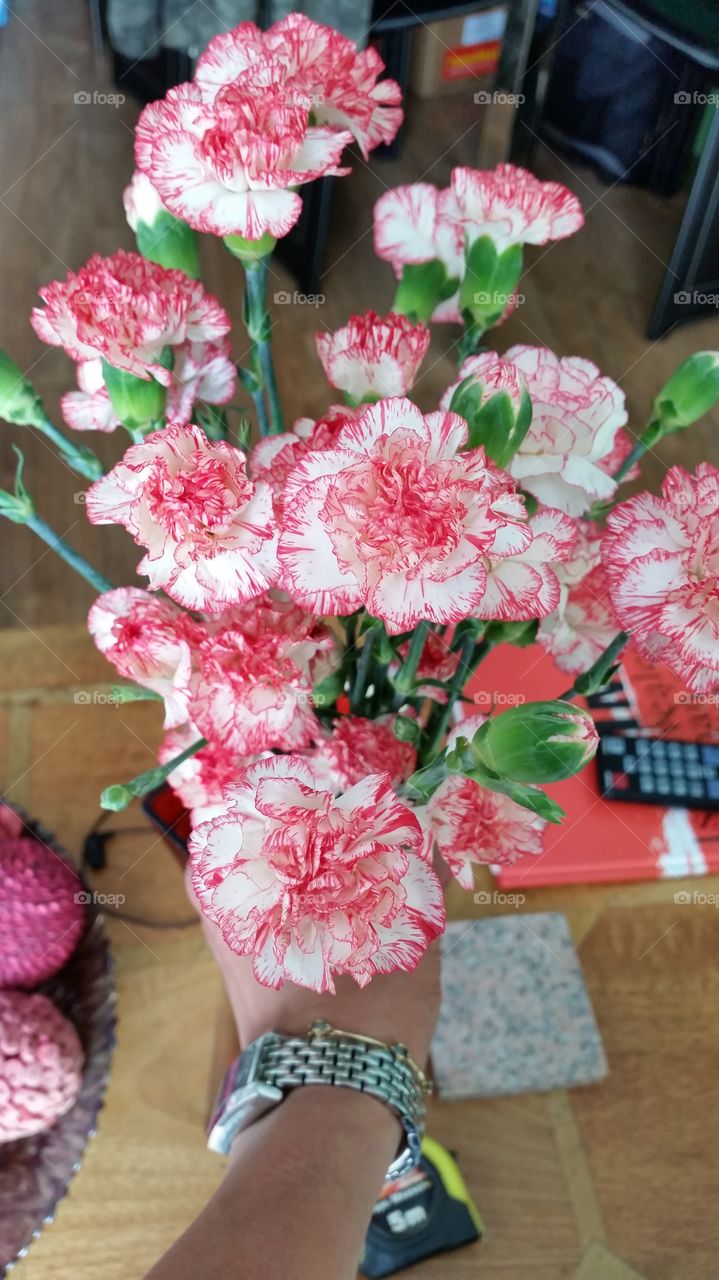 Flower, Nature, No Person, Flora, Bouquet