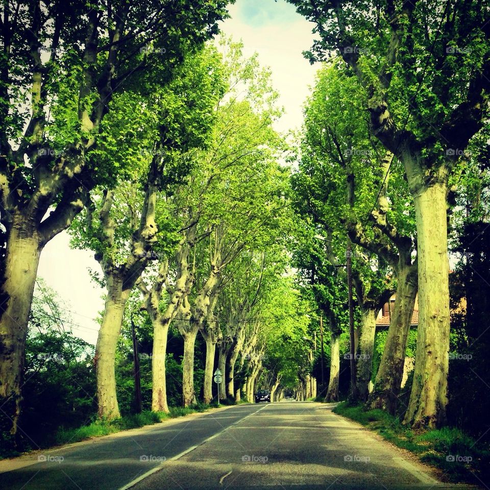 Road in France