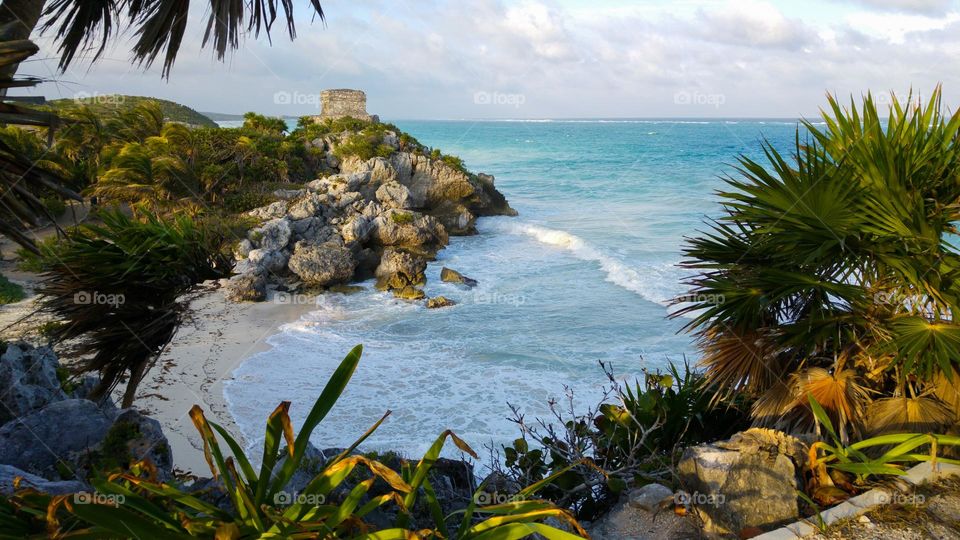the shore of the Caribbean Sea in Mexico