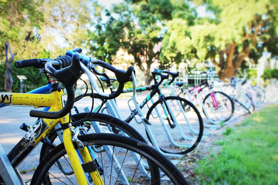 Bikes, bicycles, park, outdoor, campus, college, university, UC Davis, California
