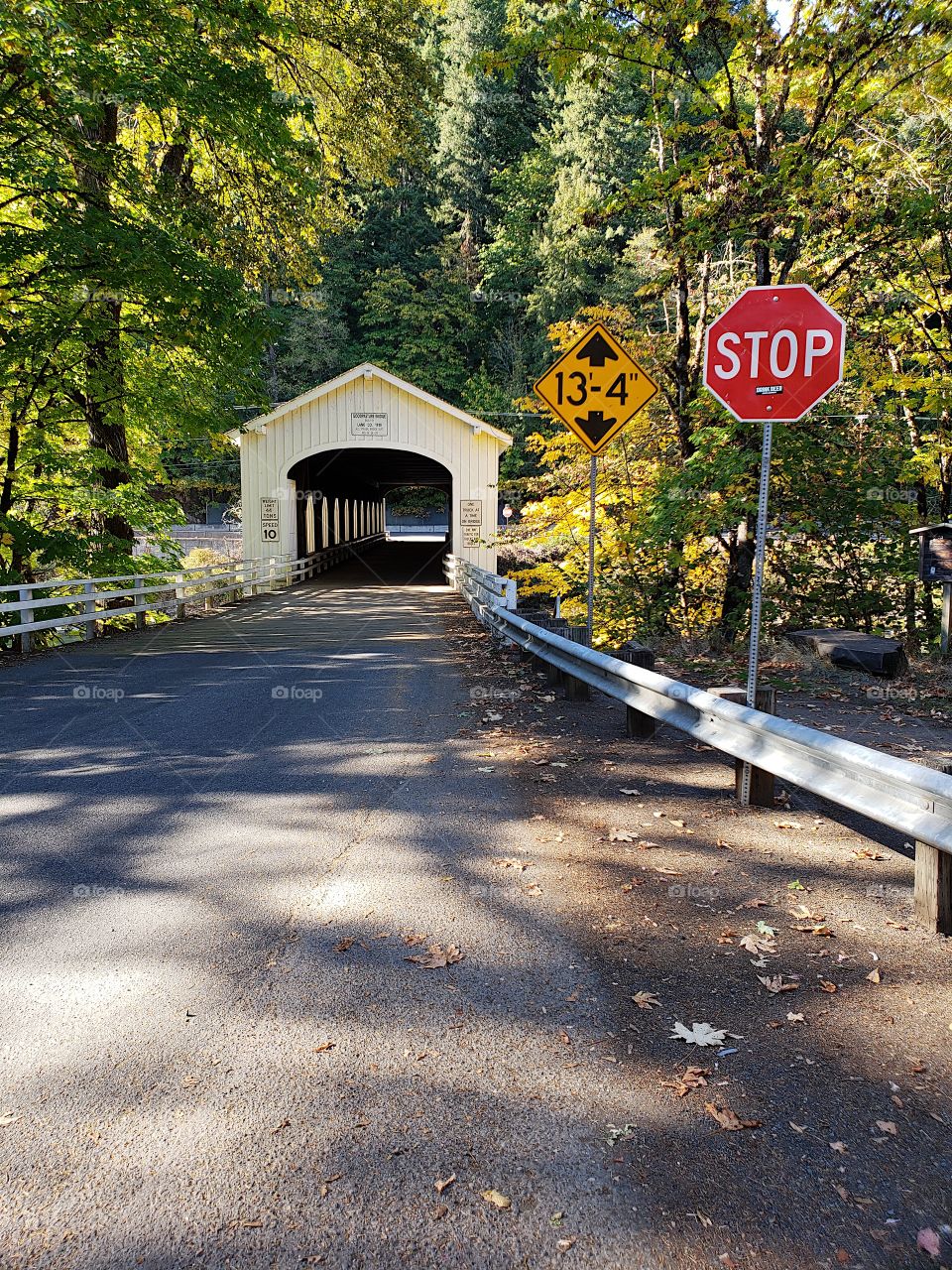 The old covered Goodpasture Bridge built in 1938 near Vida in Western Oregon on a sunny autumn day with lots of fall color around it.