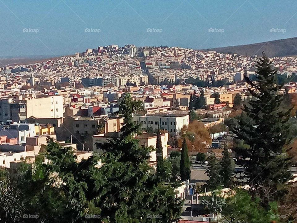 Population between the nature