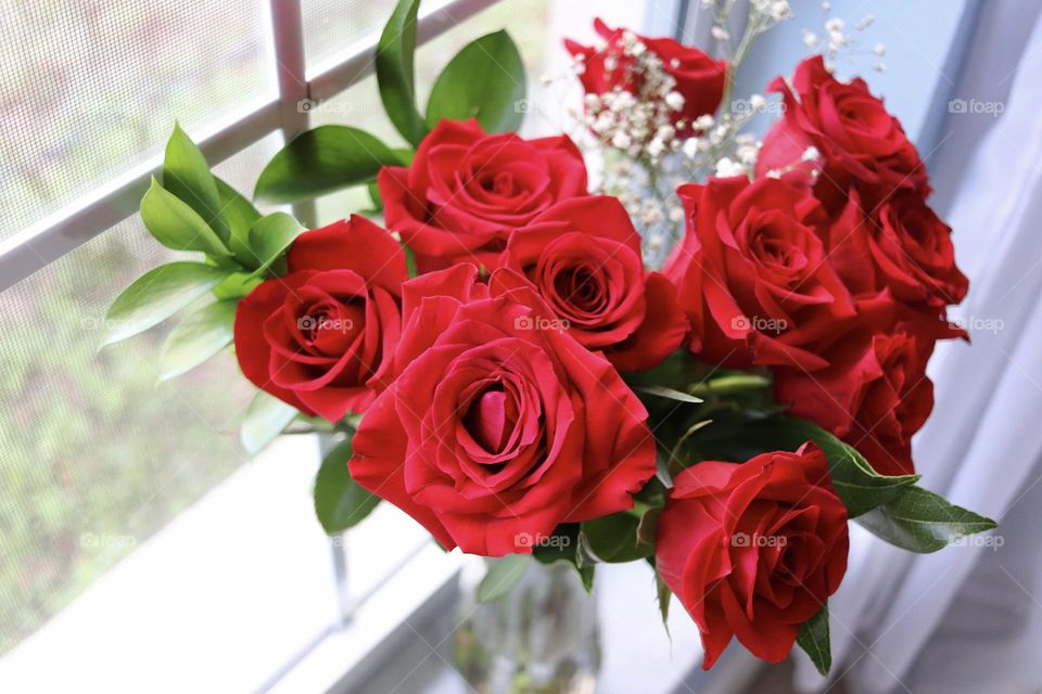 Bouquet of red roses and baby breath flowers in soft morning light next to window