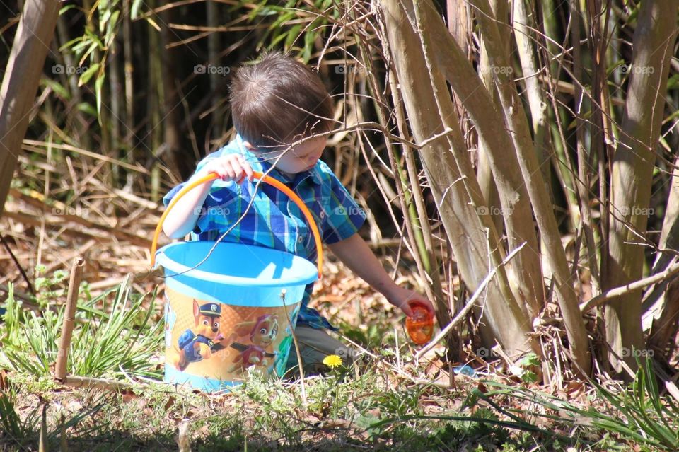 Easter Egg Hunting