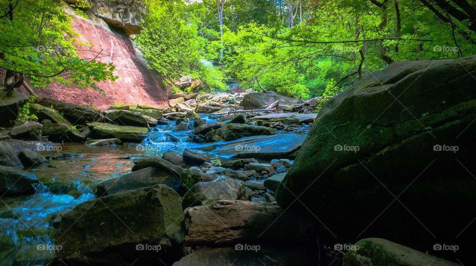 Following a stream while i day dream