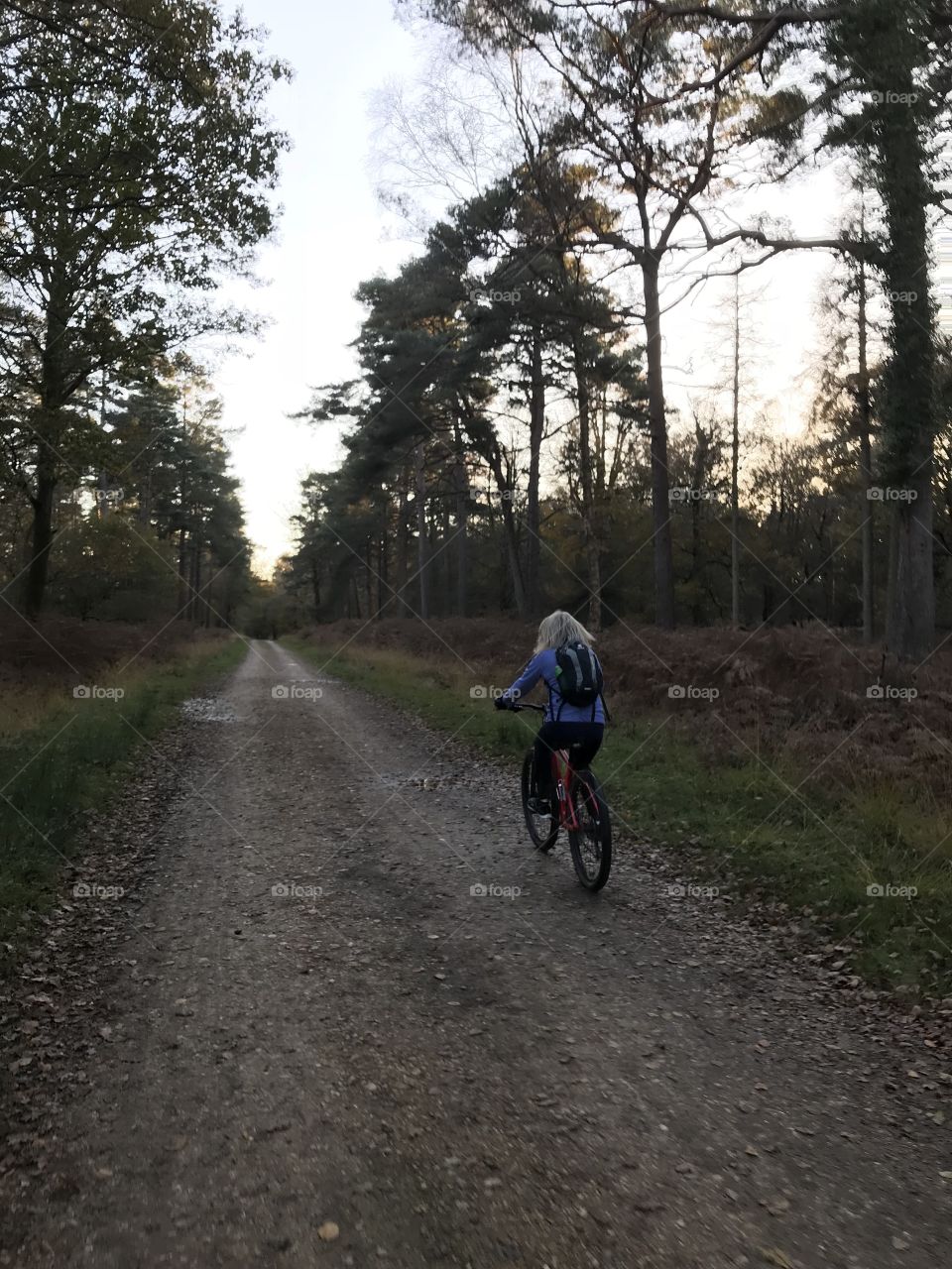 Exploring the new forest by mountain bike at sunset in the autumn time.